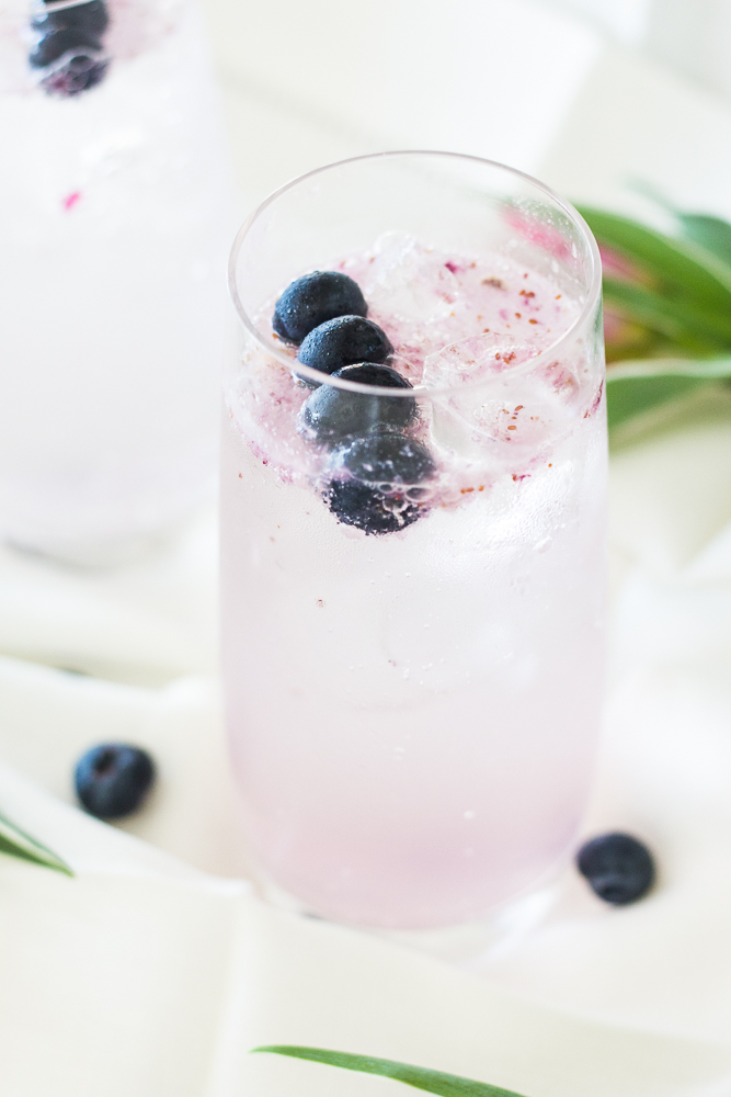 5 Minute Blueberry Lemon Infused Water - Simply J & K